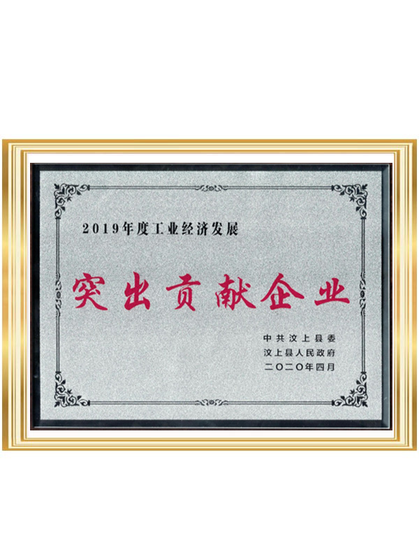 2019突出貢獻(xiàn)獎